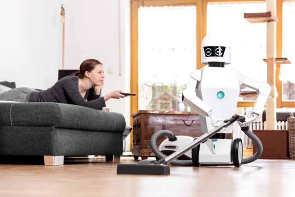 Consumer Robots for Households